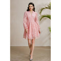 Embroidered V-Neck Lantern Sleeve Dress