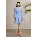Embroidered V-Neck Lantern Sleeve Dress