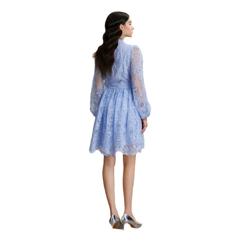 Embroidered V-Neck Lantern Sleeve Dress