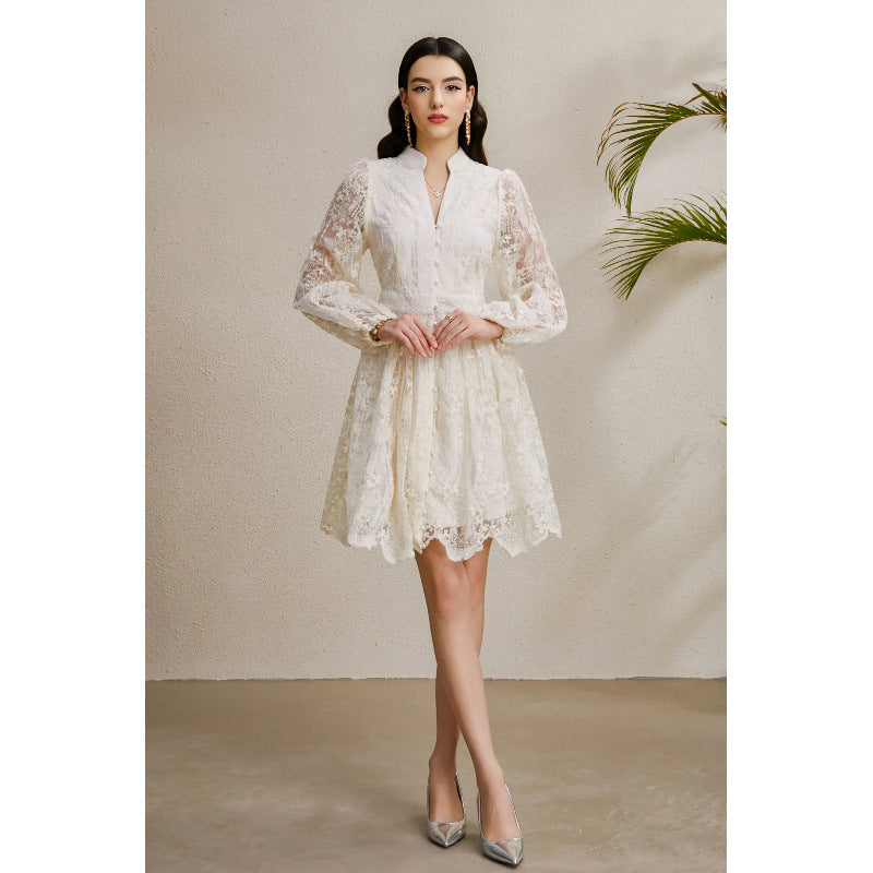 Embroidered V-Neck Lantern Sleeve Dress