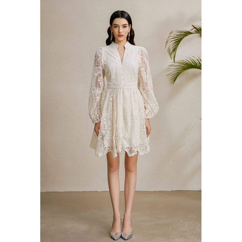 Embroidered V-Neck Lantern Sleeve Dress